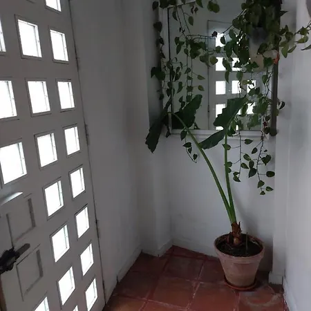 Tipo Loth Alameda Apartment *