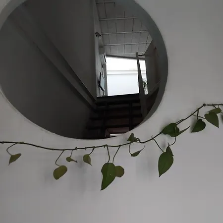 Tipo Loth Alameda Apartment Seville